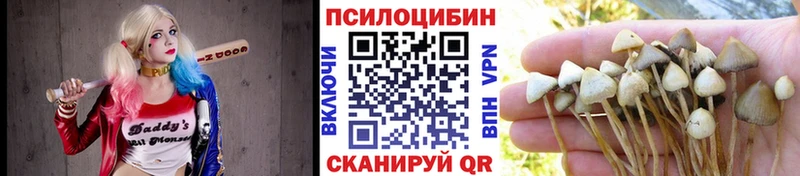 Псилоцибиновые грибы Psilocybe что такое Приморско-Ахтарск